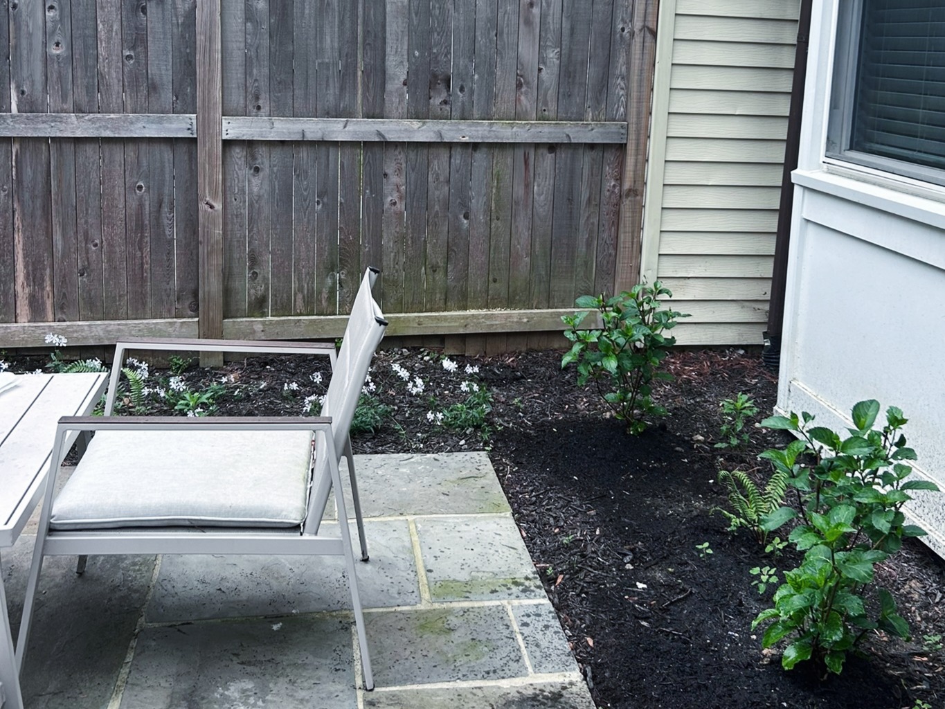 Naturalistic Japanese Garden Makeover for Small Urban Backyard in Falls Church
